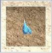 Nome:      tearofelf1b709ebiu4.jpg
Visitas:     24593
Tamanho:  4,1 KB