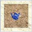 Nome:      soulofwiz1b70f89cd0.jpg
Visitas:     24594
Tamanho:  4,0 KB