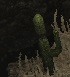 Nome:      eventofatia1.jpg
Visitas:     1166
Tamanho:  3,0 KB