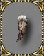 Nome: bloodboneoa5.jpg
Visitas: 128553
Tamanho: 2,1 KB