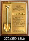 Clique na imagem para uma verso maior

Nome:	         pDeOuro.jpg
Visualizaes:	166
Tamanho: 	18,5 KB
ID:      	7274