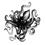 Avatar de Kraken