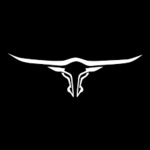 Avatar de K1NGF4RM